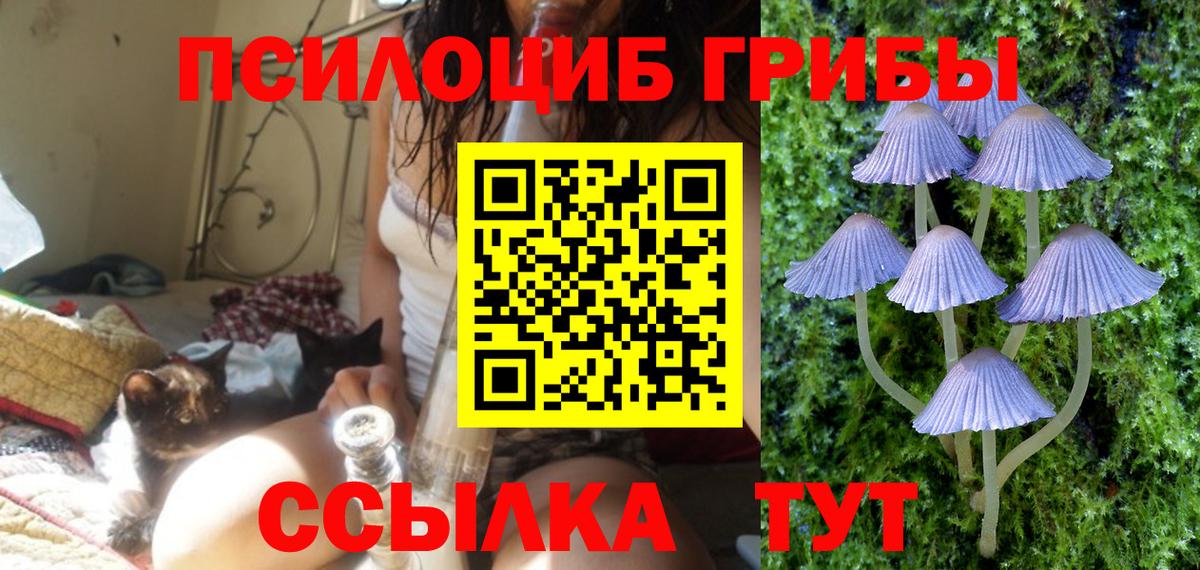Галлюциногенные грибы мухоморы Троицк