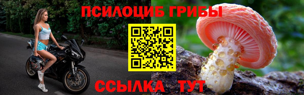 Троицк  Галлюциногенные грибы Psilocybe  купить наркоту  Вход с VPN 